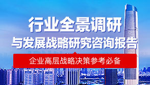 行業全景調研與發展戰略研究報告