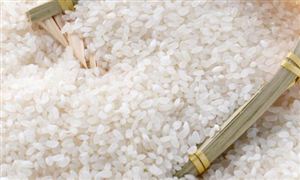 2024大米行業(yè)深度發(fā)展研究與“十四五”企業(yè)投資戰(zhàn)略規(guī)劃 印尼提高大米最高零售價(jià)