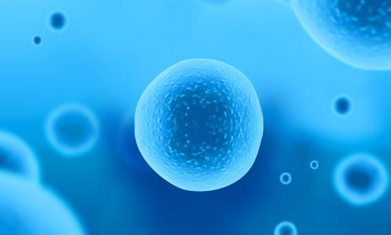 中國流式細胞儀行業競爭格局分析與未來趨勢預測