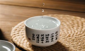 2025年中國酒店器具行業市場競爭格局分析及發展投資策略預測，關鍵窗口期